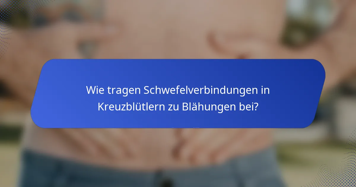 Wie tragen Schwefelverbindungen in Kreuzblütlern zu Blähungen bei?